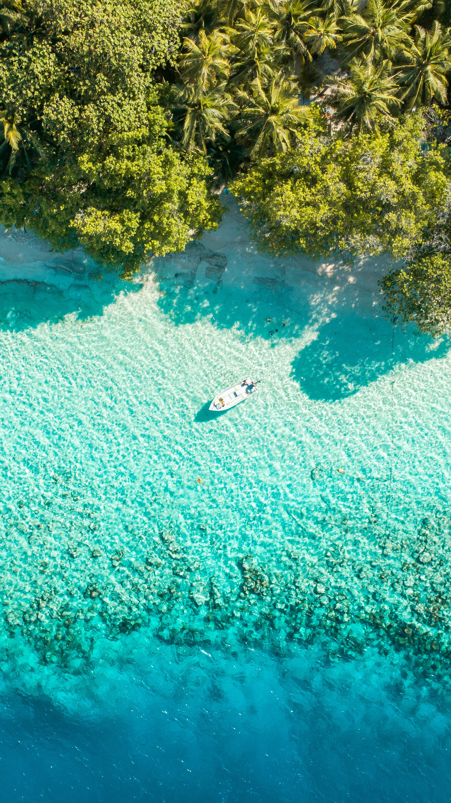 SSandy Coast of Maldives